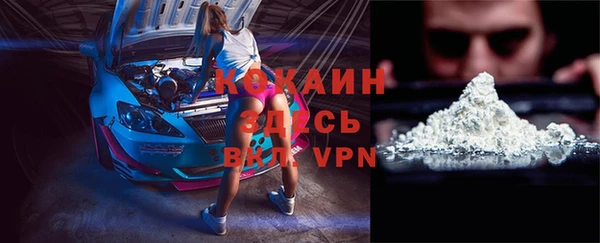 ГАЛЛЮЦИНОГЕННЫЕ ГРИБЫ Верея