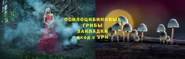стафф Бородино