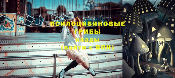 ГАЛЛЮЦИНОГЕННЫЕ ГРИБЫ Верея