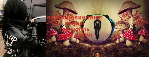 герыч Володарск