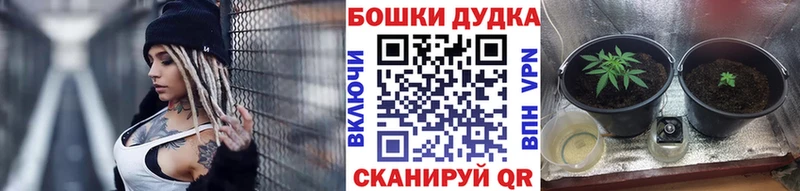 Конопля марихуана  Купить где  Чадан 
